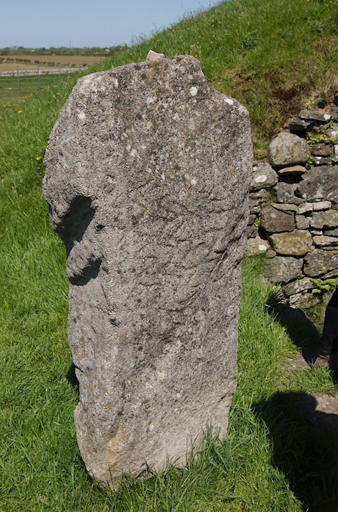 Photo of the replica Pattern Stone at Bryn Celli Ddu